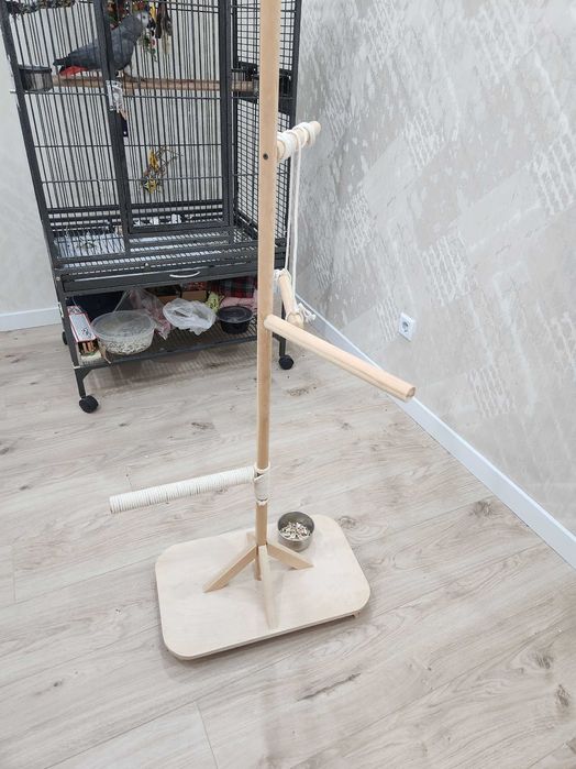 стент для попугаев