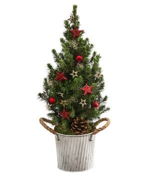 Продам ёлка зелёная ель голубая живая в горшке новый