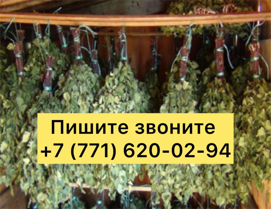 Продам пресованные банные веники 2025 года