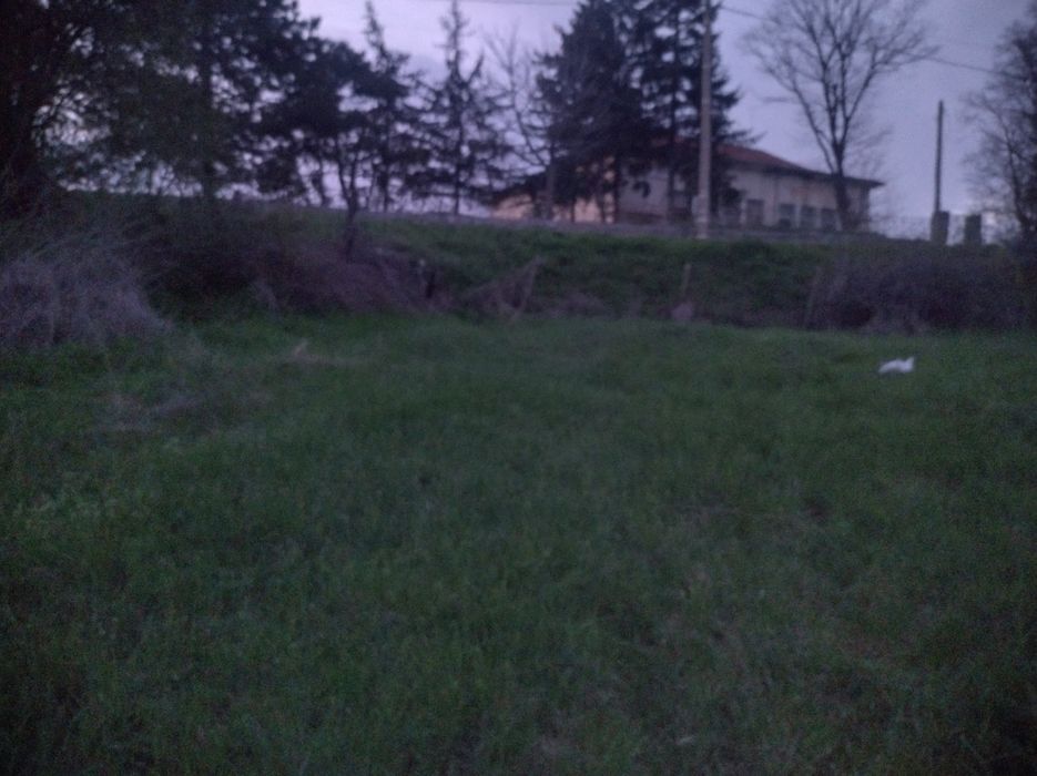 Дворно място  село Цани Гинчево