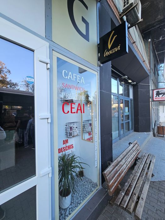Coffee to Go. Vânzare afacere