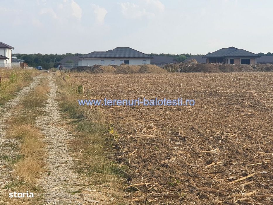 Teren Balotesti,case noi, 25500 euro