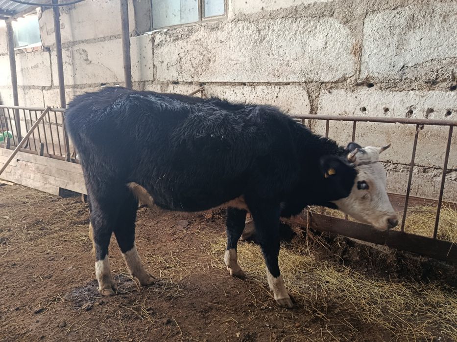 Продается продается