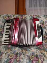 Acordeon Parrot rosu