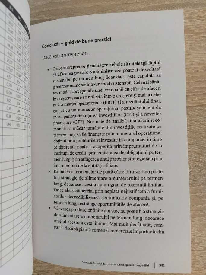 De ce esueaza companiile? 10 greseli si 100 de solutii - Iancu Guda