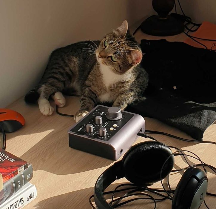 Audient iD4 MKII внешняя студийная звуковая карта