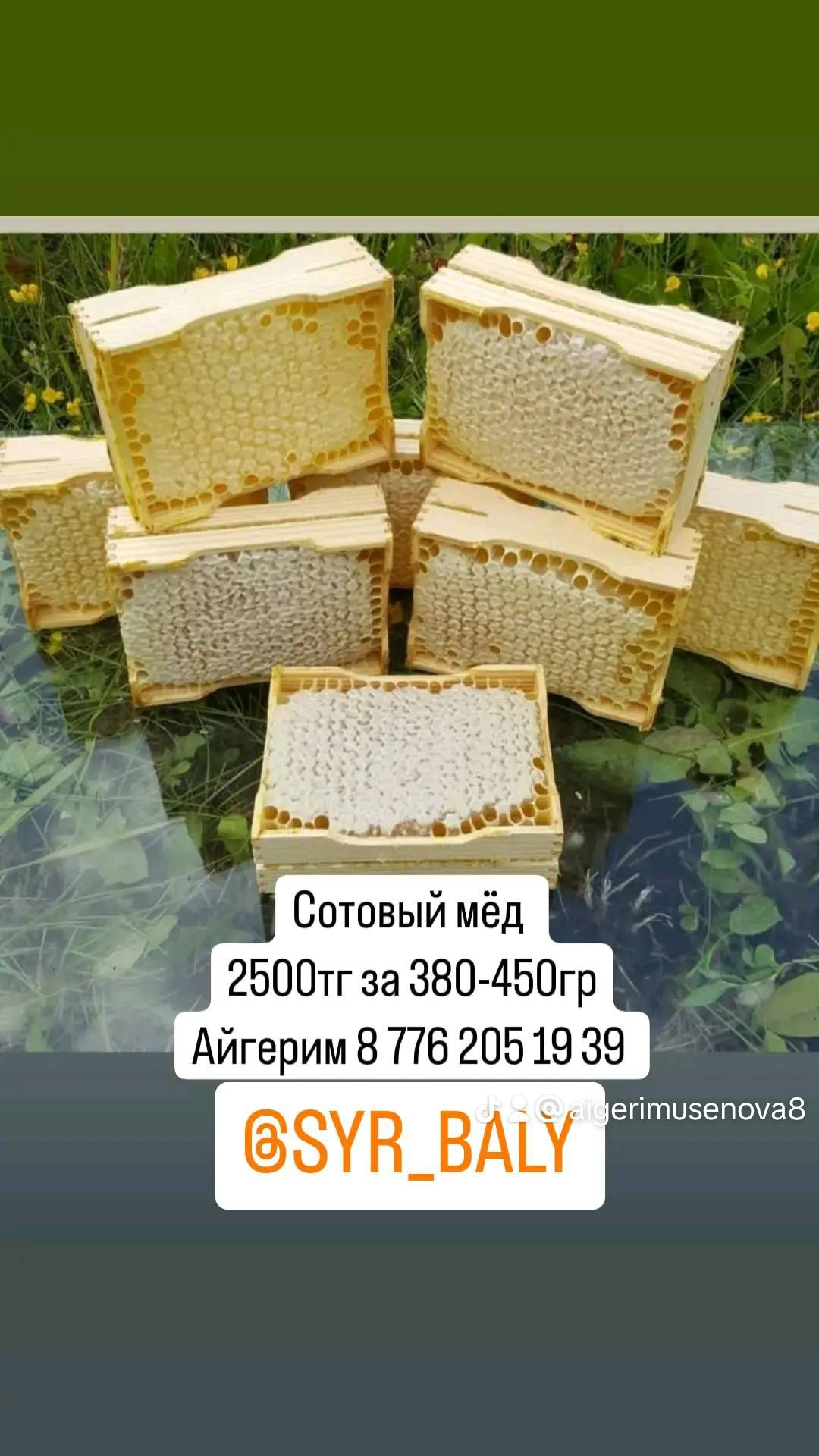 Сотовый мёд 2500тг