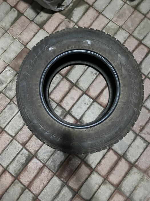 Зимние шины Nokian