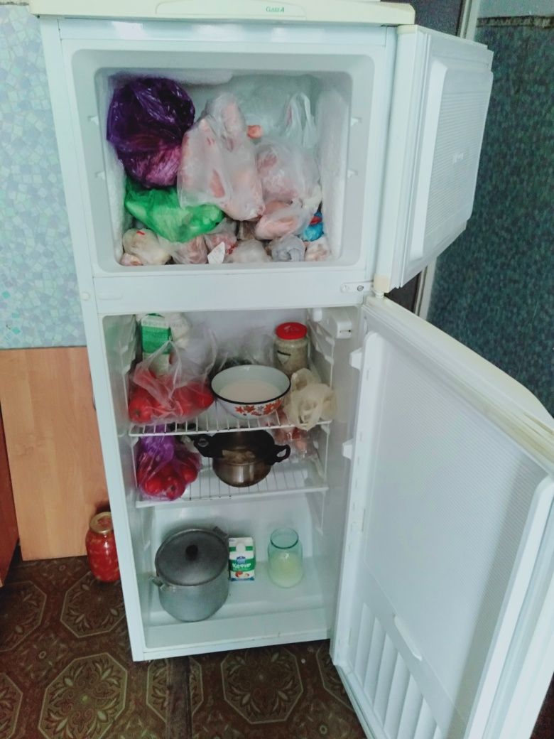 Холодильник nort