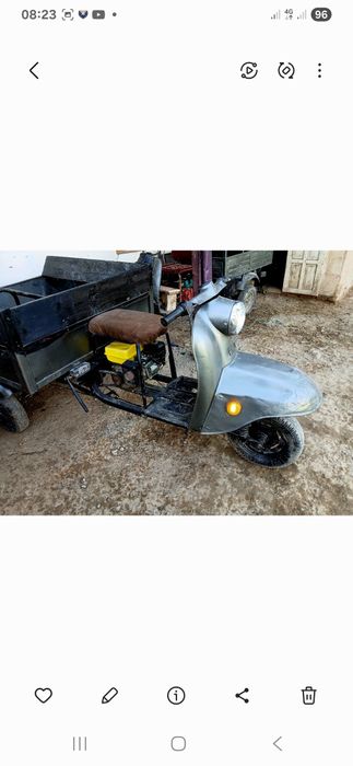 Муравей в хорошем состоянии