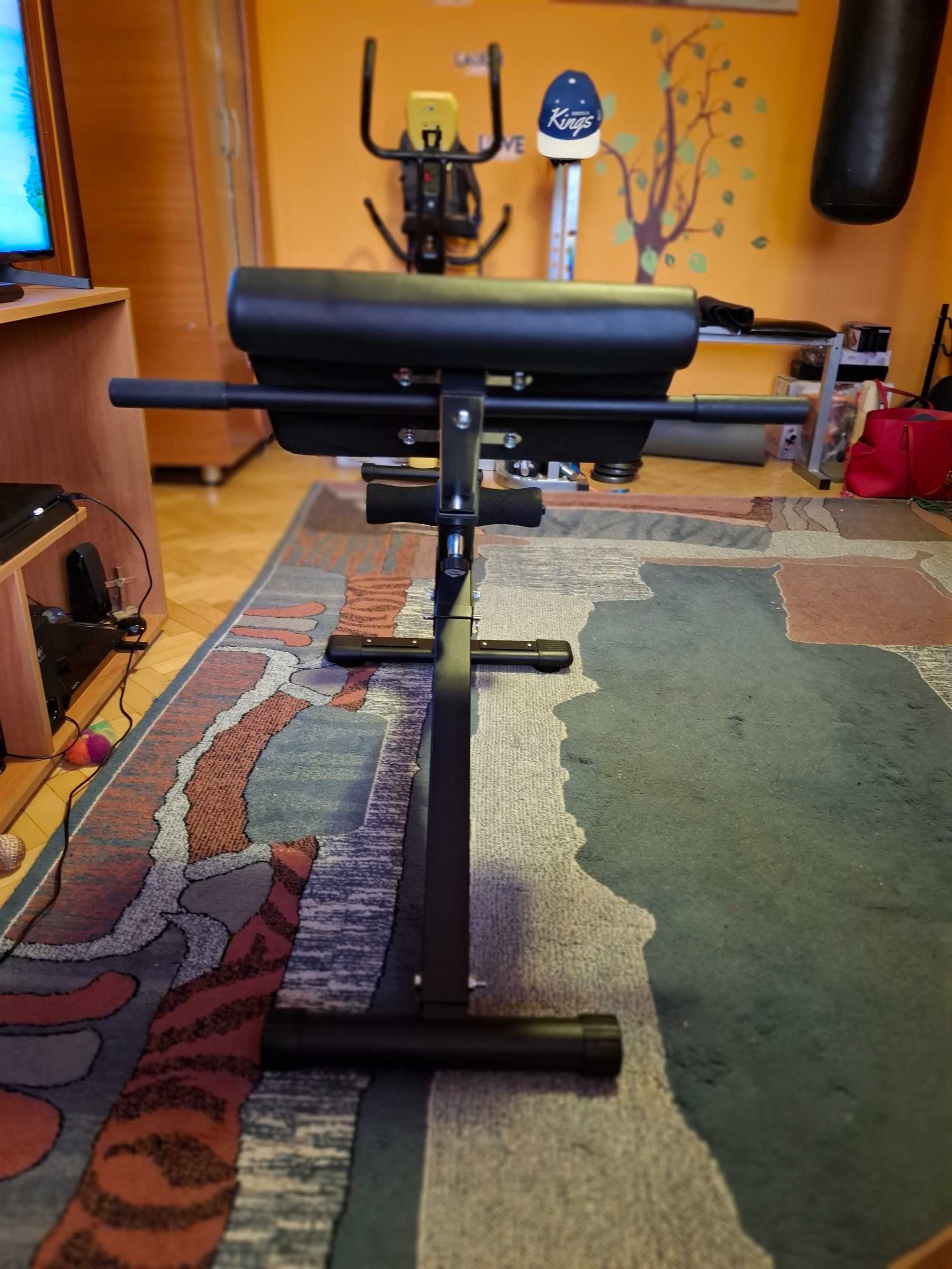Banca hiperextensii lombare pliabila GORILLA SPORTS nou nouța GERMANIA