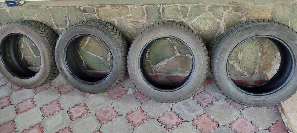 Зимняя резина Bridgstone Blizzak DM-V2  255 55 R18