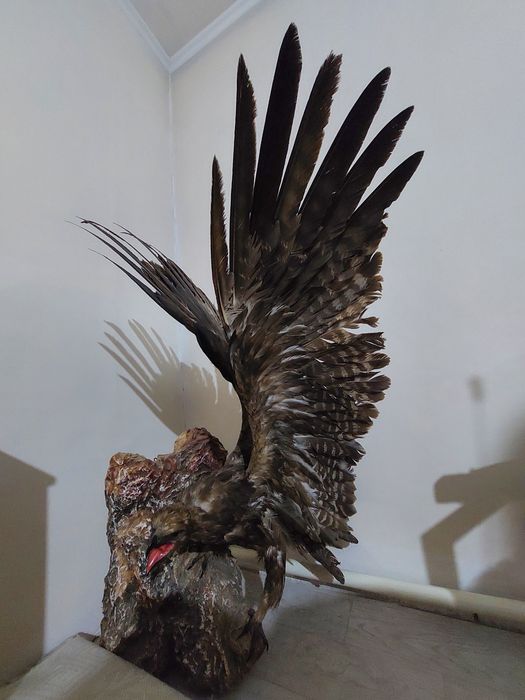 Продам беркут сувенир