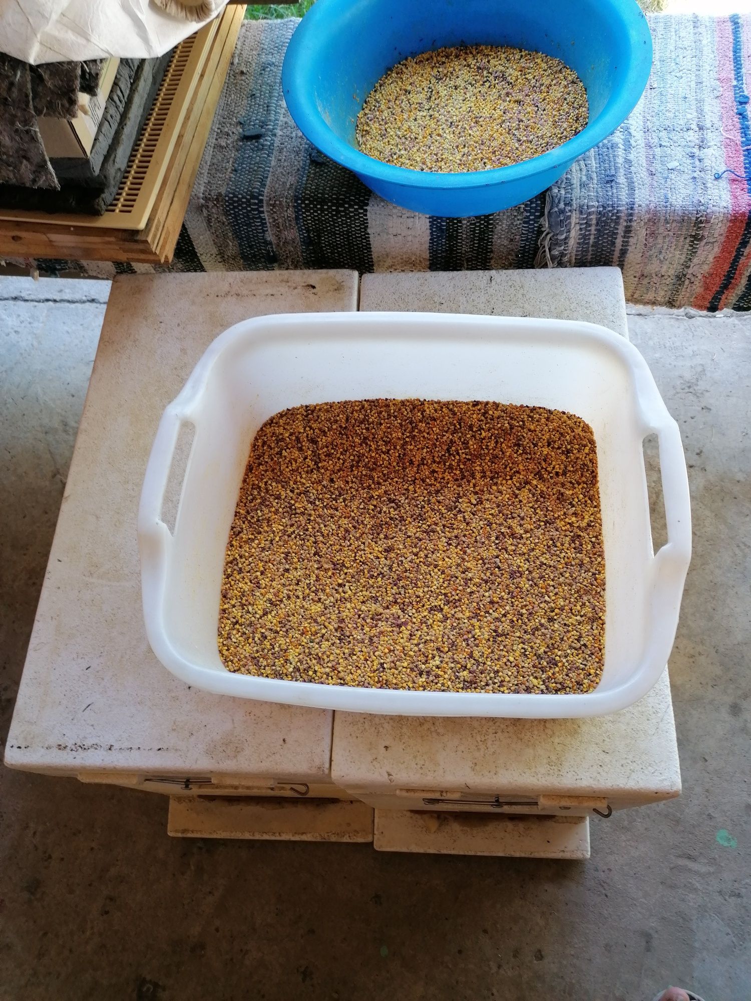 Polen crud congelat 2025  60 Ron Kg