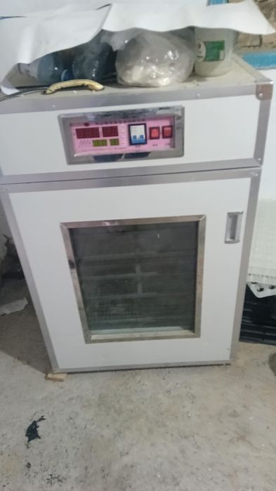 Инкубатор Россия