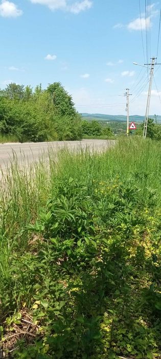 Teren intravilan Targu Neamt-  str. baile Oglinzi