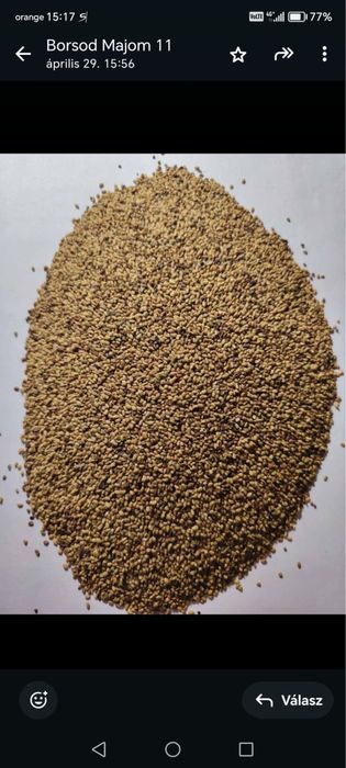 Vand seminte de lucerna  ghizdei trifoi
