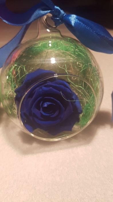 Trandafiri criogenati Cadou de Constantin si Elena