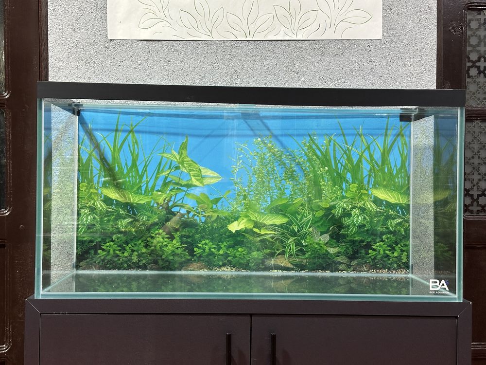 Bek Aquarium 200L