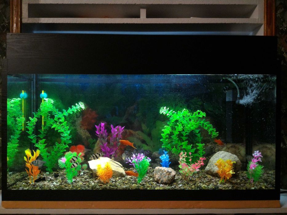 Аквариум 69 л. с рыбками и растениями, с крышкой и подсветкой НОВЫЙ