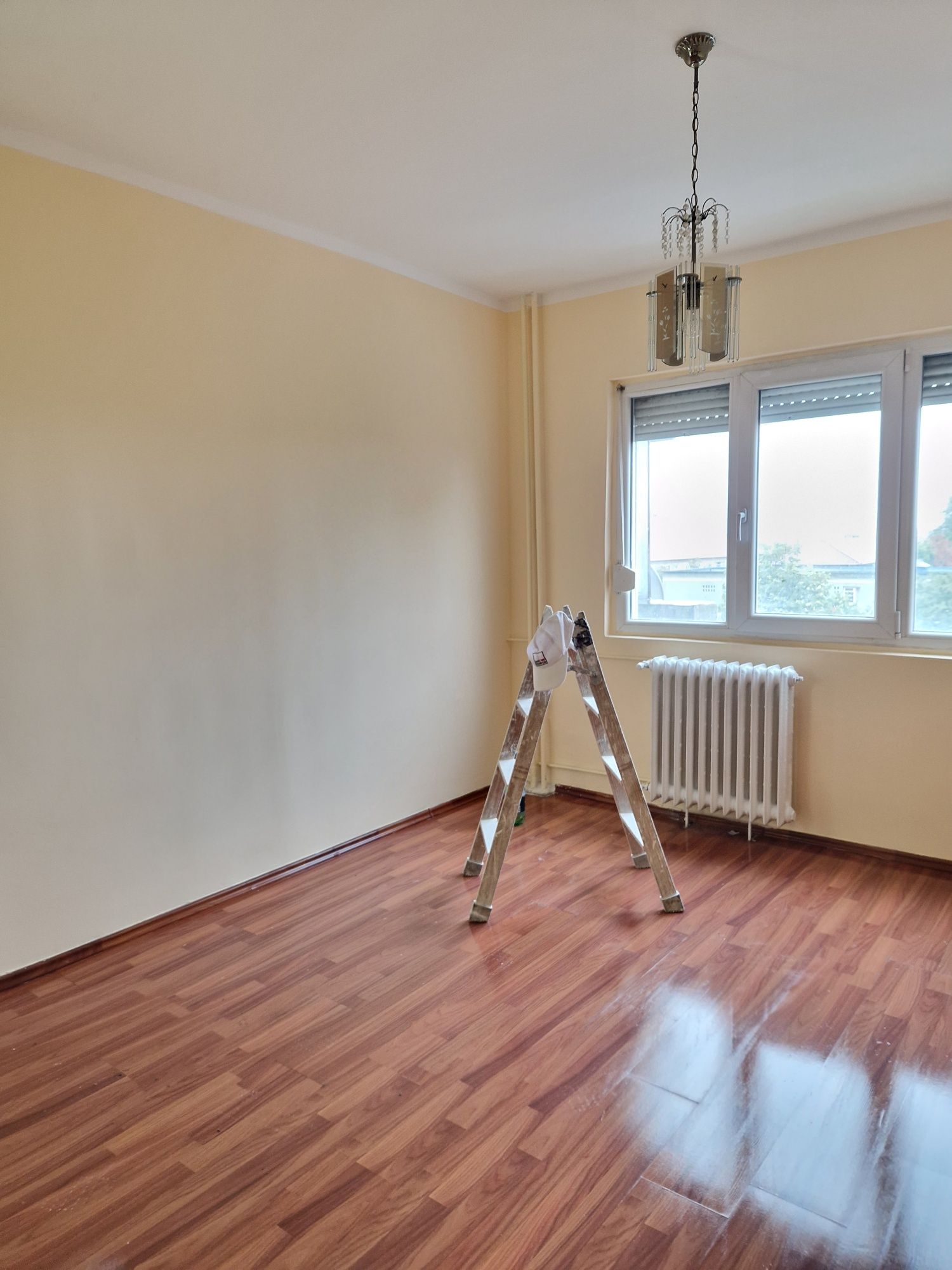 Zugrav Zugraveli Decorati Lavabil