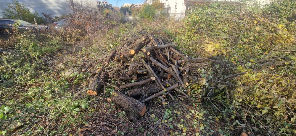 Дърва за огрев различни видове,нарязани.