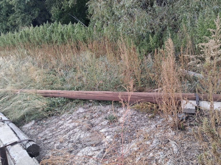 Продам столбы электричества