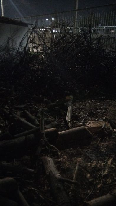 Дрова от ореха отдадим