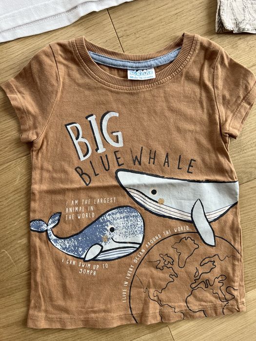 Set 5 tricouri mărimea 86; 12-18 luni