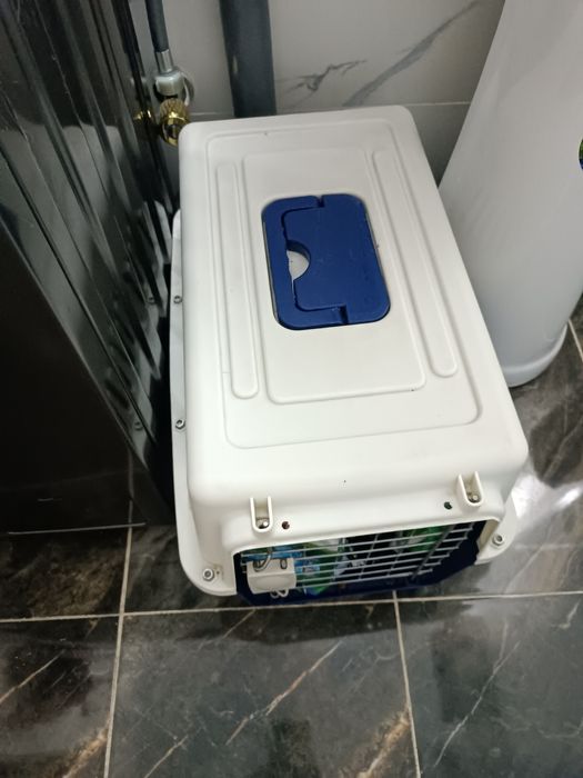 Mushuk nunu sotiladi