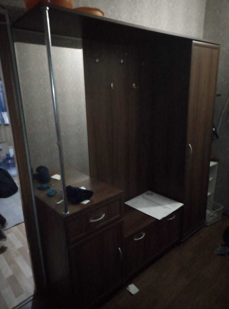 шкаф из двух дверей в хорошем состоянии