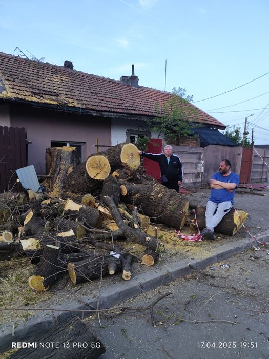 Debarasare evacuare vegetație mobilă fiare moloz etc