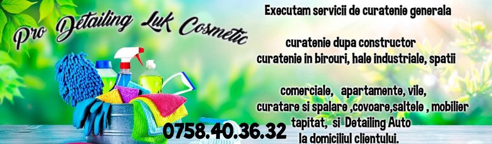 Curățenie la domiciliu