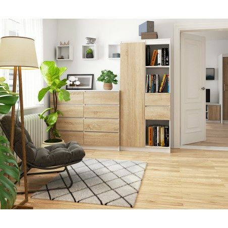 Dulap cu 1 ușa si 2 sertare