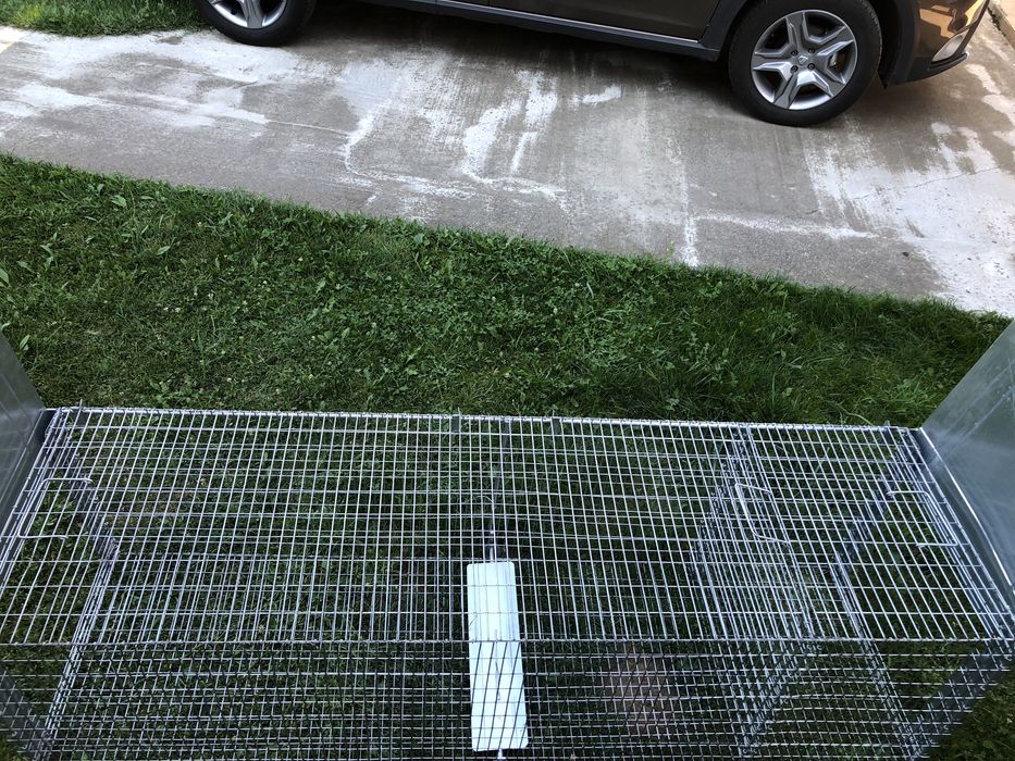 Capcana vulpi cu momeala vie și cu doua intrari -140/40/50 cm