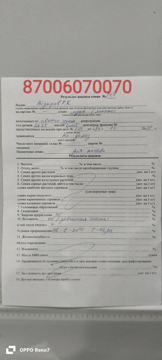 Семена Манас первосьем