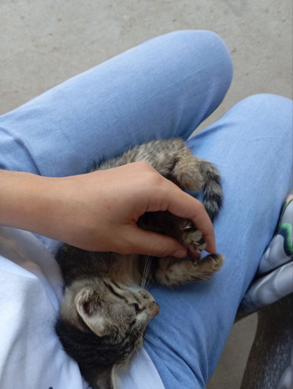 Mmushukcha bor mehirli insonlarga tekin