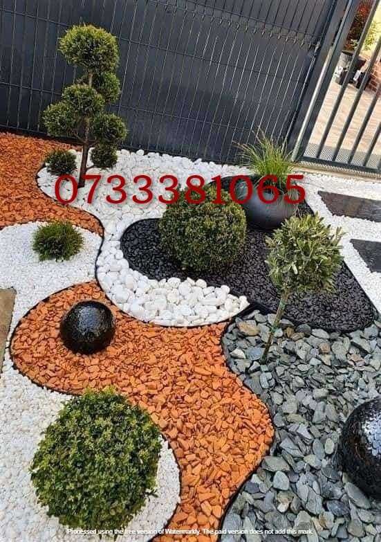 Plante ornamentale