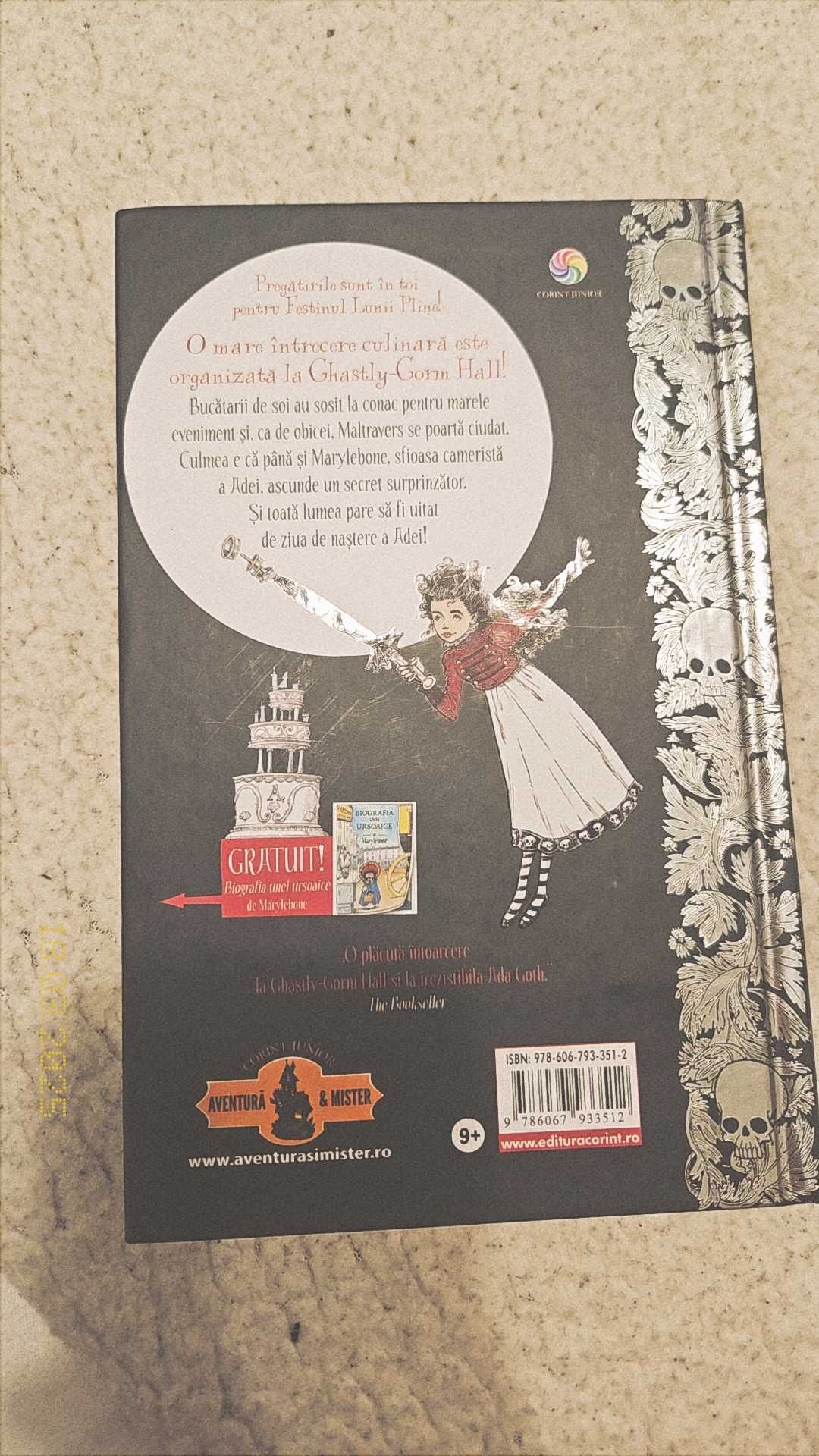 Carte de citit,,Domnisosra Goth si festivalul cel sinistru"