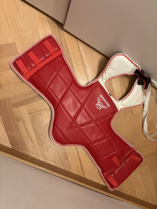 Pieptar karate Armura