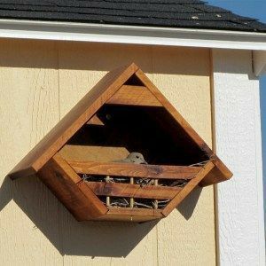 Къщичка за птички
