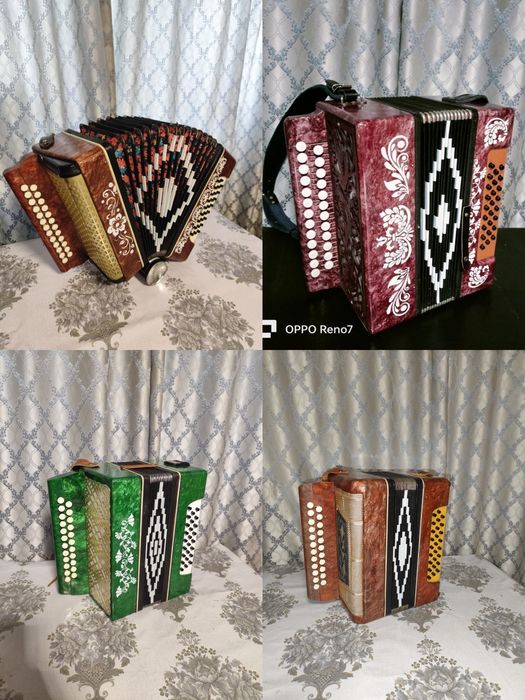 Гармонь Маричка , Троянда