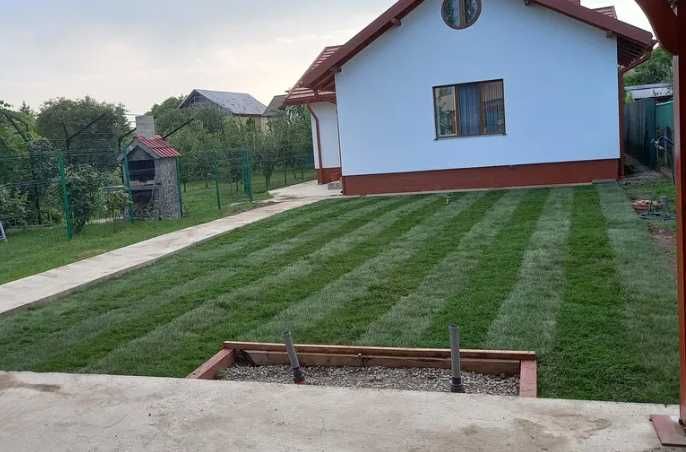 Gazon Rulou Sport premium