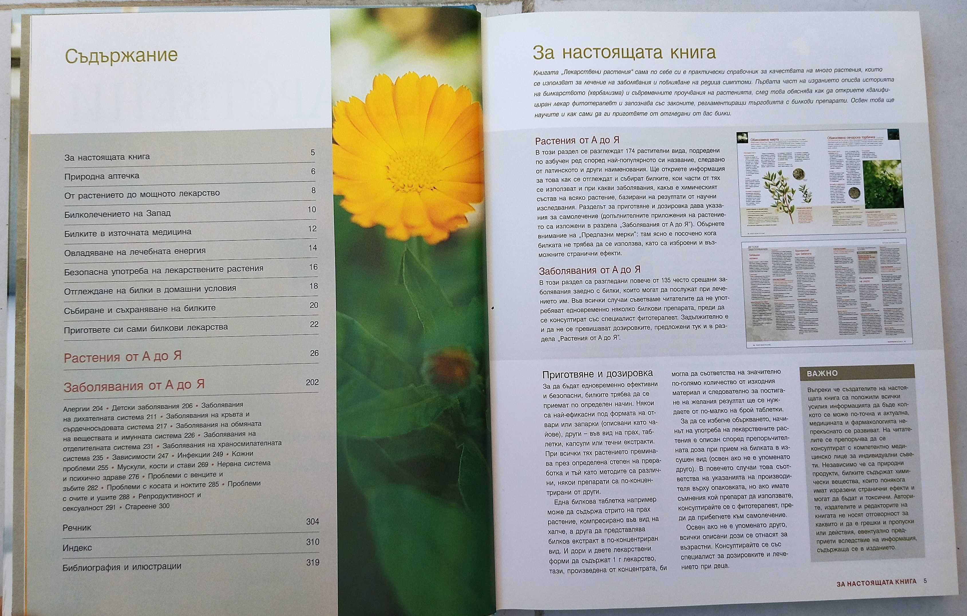 Reader's Digest - Лекарствени растения / Супер салати (Комп. 30 лв.)