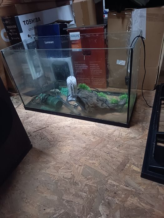 Acvariu pești sau broscute