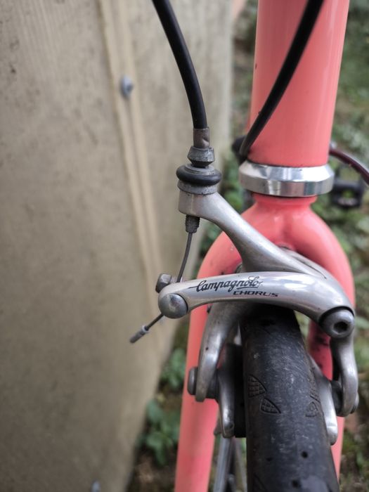 Cursiera Decathlon Bisiaux