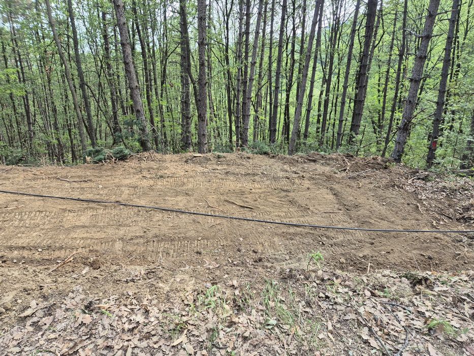 Vând teren pentru cabană și pădure.