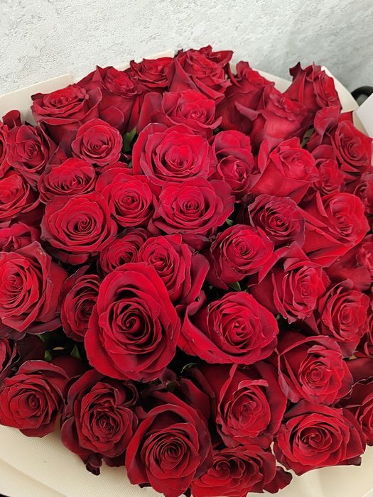 Розы метровые торг