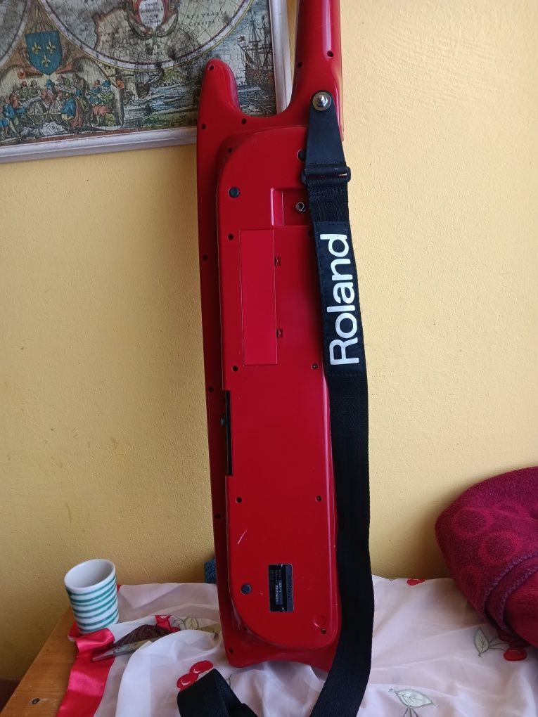 Roland ax 1 an Stare Buna