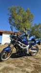 Suzuki SV 650 / Сузуки СВ 650